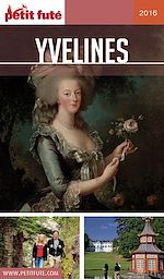 Download this eBook Yvelines 2016 Petit Futé