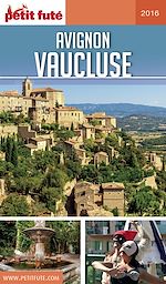 Download this eBook AVIGNON - VAUCLUSE 2016/2017 Petit Futé