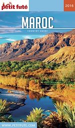 Download this eBook Maroc 2016 Petit Futé