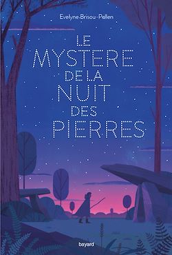 Télécharger le livre :  Le mystère de la nuit des pierres