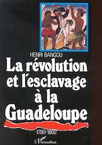 Télécharger le livre :  LA RÉVOLUTION ET L'ESCLAVAGE À LA GUADELOUPE 1789-1802