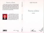 Télécharger le livre :  Destins éclatés