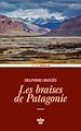Télécharger le livre :  Les Braises de Patagonie