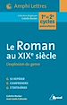 Télécharger le livre :  Le Roman au XIXe siècle - L'explosion du genre