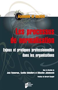 Télécharger le livre :  Les processus de normalisation