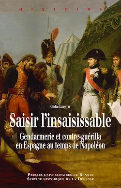 Télécharger le livre :  Saisir l’insaisissable