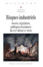 Download this eBook Risques industriels