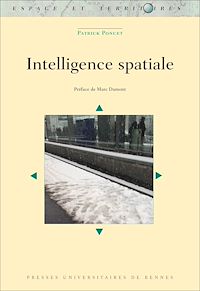 Télécharger le livre :  Intelligence spatiale
