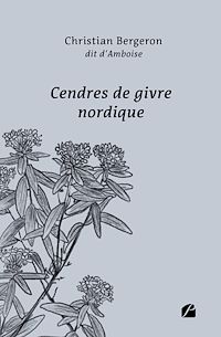Télécharger le livre : Cendres de givre nordique