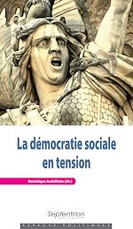 Télécharger le livre :  La démocratie sociale en tension
