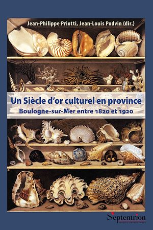Download the eBook: Un Siècle d'or culturel en province