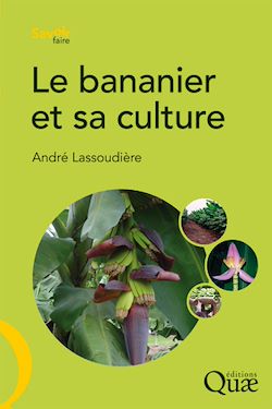 Télécharger le livre :  Le bananier et sa culture