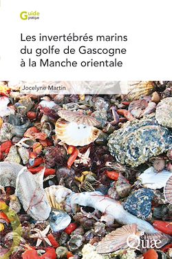 Télécharger le livre :  Les invertébrés marins du golfe de Gascogne à la Manche orientale