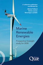 Download this eBook Marine Renewable Energies