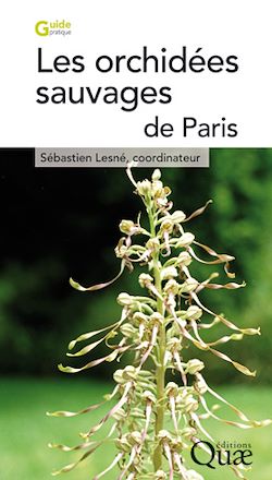 Télécharger le livre :  Les orchidées sauvages de Paris