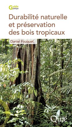 Télécharger le livre :  Durabilité naturelle et préservation des bois tropicaux