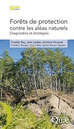 Download this eBook Forêts de protection contre les aléas naturels