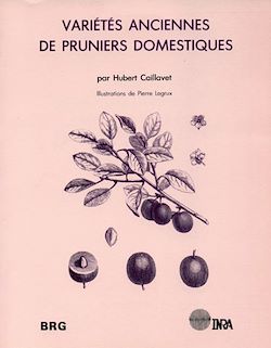 Télécharger le livre :  Variétés anciennes de pruniers domestiques