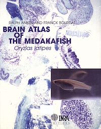 Téléchargez le livre :  Brain atlas of the medakafish