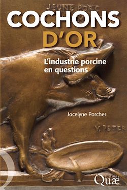Télécharger le livre :  Cochons d'or