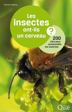 Télécharger le livre :  Les insectes ont-ils un cerveau ?