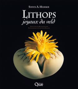 Télécharger le livre :  Lithops