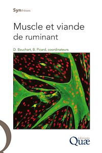 Téléchargez le livre :  Muscle et viande de ruminant
