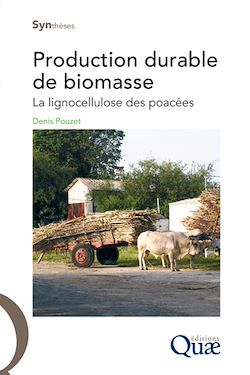 Télécharger le livre :  Production durable de biomasse