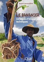 Download this eBook Le bananier