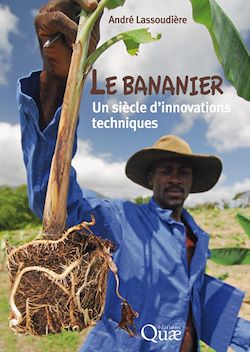 Télécharger le livre :  Le bananier