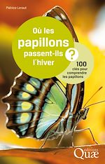 Télécharger le livre :  Où les papillons passent-ils l'hiver ?