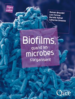 Télécharger le livre :  Biofilms, quand les microbes s'organisent