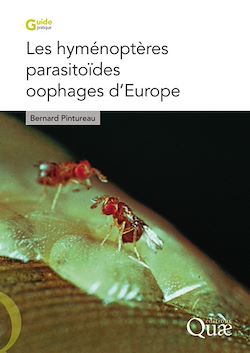 Télécharger le livre :  Les hyménoptères parasitoïdes oophages d'Europe