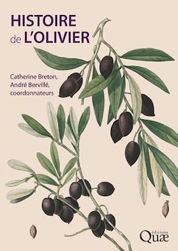 Télécharger le livre :  Histoire de l'olivier