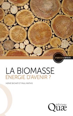 Télécharger le livre :  La biomasse, énergie d'avenir ?