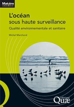 Télécharger le livre :  L'océan sous haute surveillance