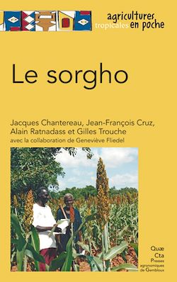 Télécharger le livre :  Le sorgho