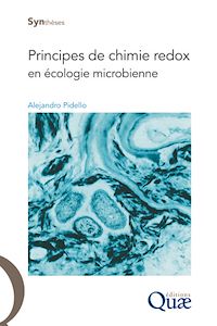 Téléchargez le livre :  Principes de chimie redox en écologie microbienne