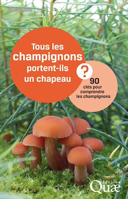 Télécharger le livre :  Tous les champignons portent-ils un chapeau ?