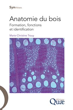 Télécharger le livre :  Anatomie du bois