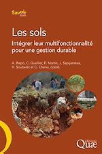 Download this eBook Les sols
