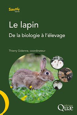 Télécharger le livre :  Le lapin