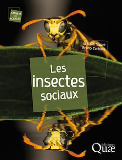 Télécharger le livre :  Les insectes sociaux