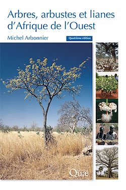 Télécharger le livre :  Arbres, arbustes et lianes d'Afrique de l'Ouest