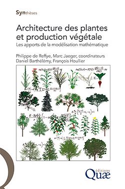Télécharger le livre :  Architecture des plantes et production végétale