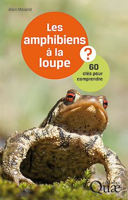 Télécharger le livre :  Les amphibiens à la loupe