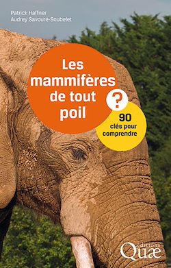 Télécharger le livre :  Les mammifères de tout poil