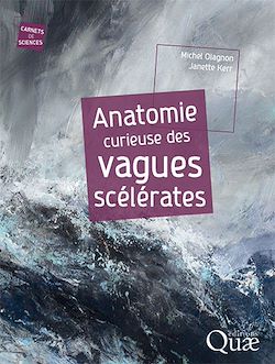 Télécharger le livre :  Anatomie curieuse des vagues scélérates