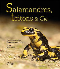 Télécharger le livre :  Salamandres, tritons & Cie