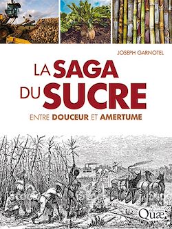 Télécharger le livre :  La saga du sucre